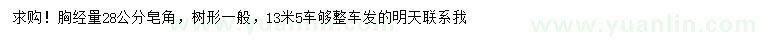 求購胸徑28公分皂角