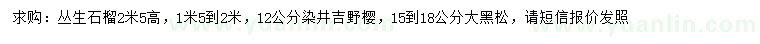 求購叢生石榴、染井吉野櫻、大黑松