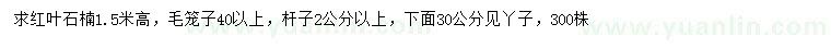 求購(gòu)高1.5米紅葉石楠