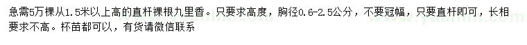 求購胸徑0.6-2.5公分九里香