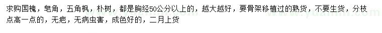 求購國槐、皂角、五角楓