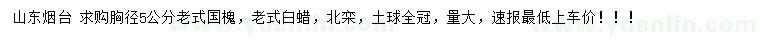 求購老式國槐、老式白蠟、北欒