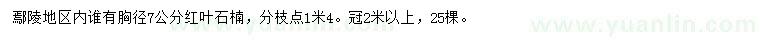 求購胸徑7公分紅葉石楠