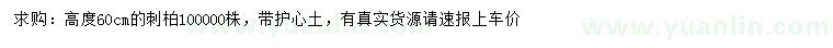 求購高度60公分刺柏