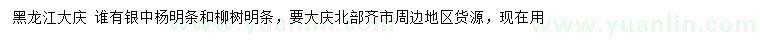 求購銀中楊明條、柳樹明條
