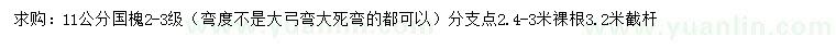 求購11公分國槐