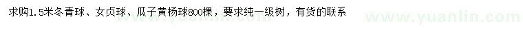 求購冬青球、女貞球、瓜子黃楊球