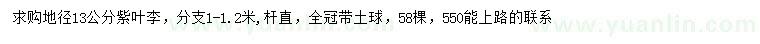 求購(gòu)地徑13公分紫葉李