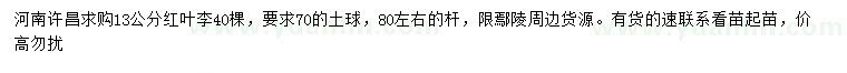 求購13公分紅葉李