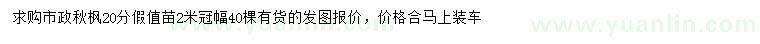 求購20公分秋楓假值苗