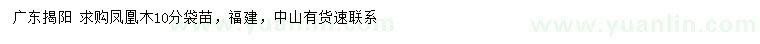 求購10公分鳳凰木