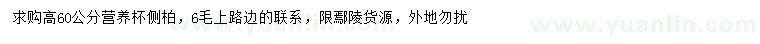 求購(gòu)高60公分側(cè)柏