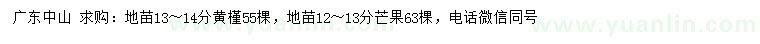 求購13-14公分黃槿、12-13公分芒果