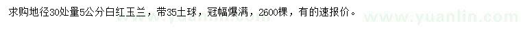 求購30量5公分白、紅玉蘭