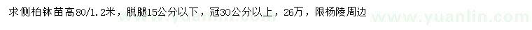 求購(gòu)冠幅30公分以上側(cè)柏
