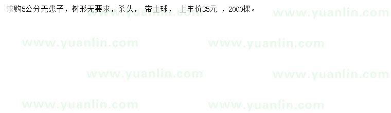 求購5公分無患子