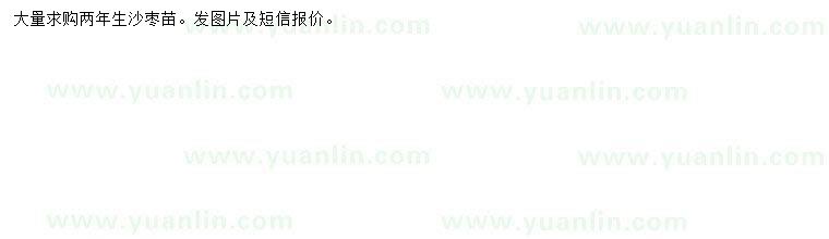 求購(gòu)兩年生沙棗苗