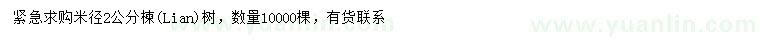 求購米徑2公分楝樹