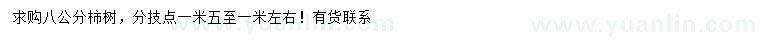 求購8公分柿樹