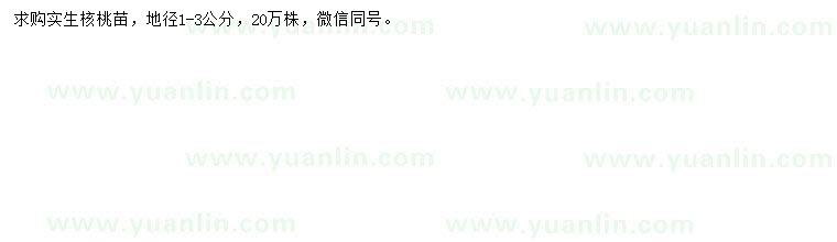 求購地徑1-3公分核桃苗