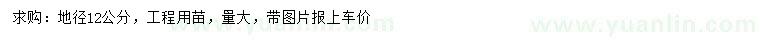 求購(gòu)地徑12公分桃樹