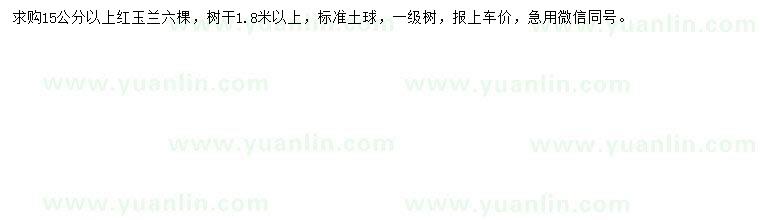 求購15公分紅玉蘭