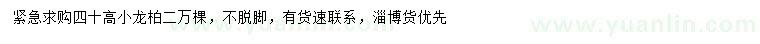 求購(gòu)高40公分小龍柏