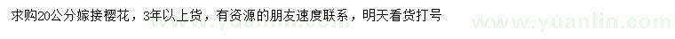 求購20公分嫁接櫻花