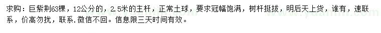求購12公分巨紫荊