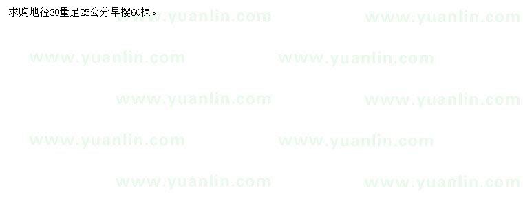 求購(gòu)30量25公分早櫻