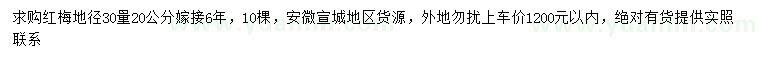 求購30量20公分紅梅