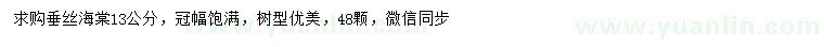 求購13公分垂絲海棠