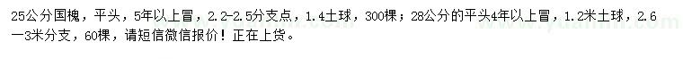 求購25、28公分國槐