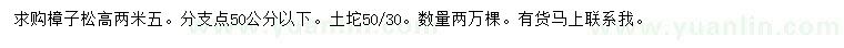 求購(gòu)高2.5米樟子松