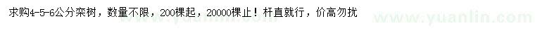 求購(gòu)4、5、6公分欒樹(shù)