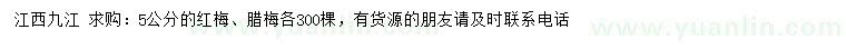 求購(gòu)5公分紅梅、臘梅