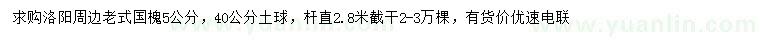 求購5公分老式國槐