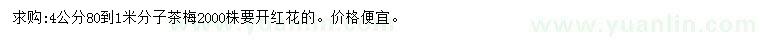 求購4公分茶梅