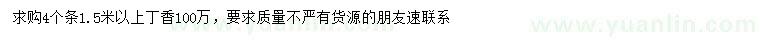 求購1.5米以上丁香