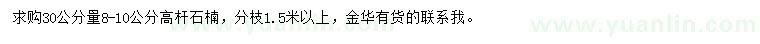 求購30公分量8-10公分高桿石楠
