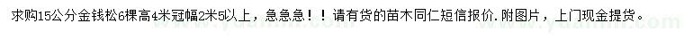 求購15公分金錢松