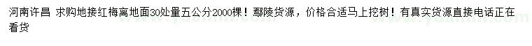 求購(gòu)地面30處量5公分地接紅梅離