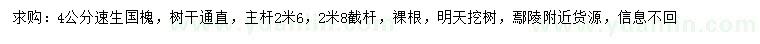 求購(gòu)4公分速生國(guó)槐