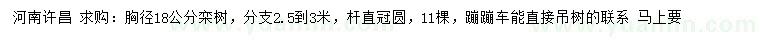求購胸徑18公分欒樹