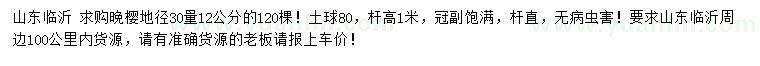 求購地徑30量12公分晚櫻