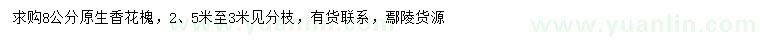 求購(gòu)8公分原生香花槐