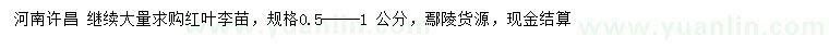 求購0.5-1公分紅葉李苗
