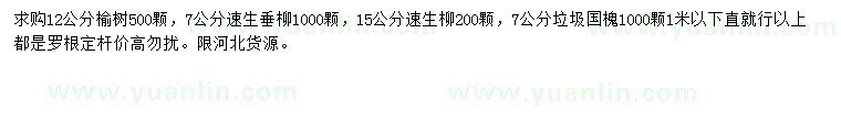 求購榆樹、速生垂柳、國槐等