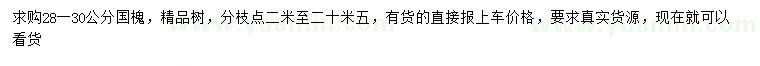 求購(gòu)28-30公分國(guó)槐