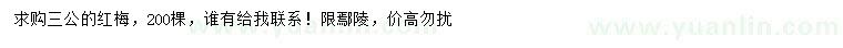 求購3公分紅梅
